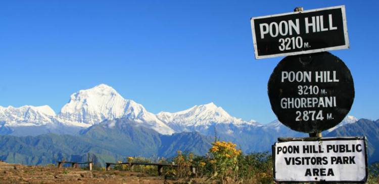 Ghorepani- Poonhill Trekking