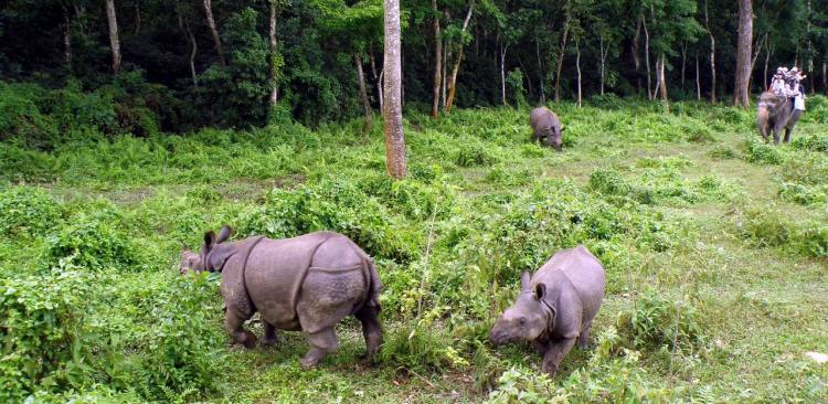 Bardia National Park