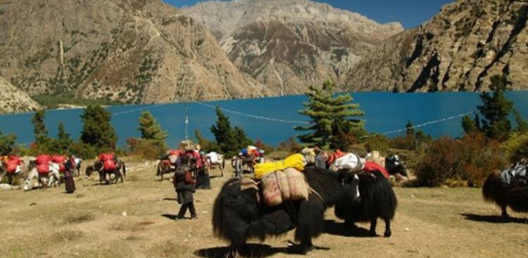 Upper Dolpo Trekking