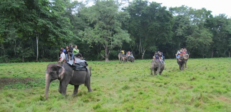 Chitwan National Park