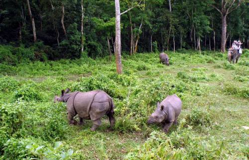 Bardia National Park