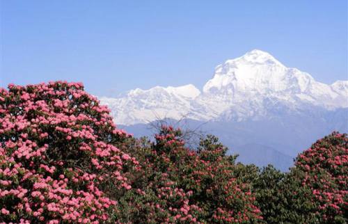 Dhaulagiri Trek