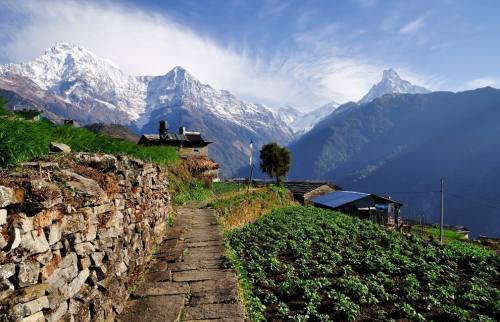 Ghandruk Trekking