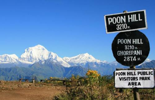 Ghorepani- Poonhill Trekking