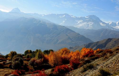 Lo- Manthang La Trekking