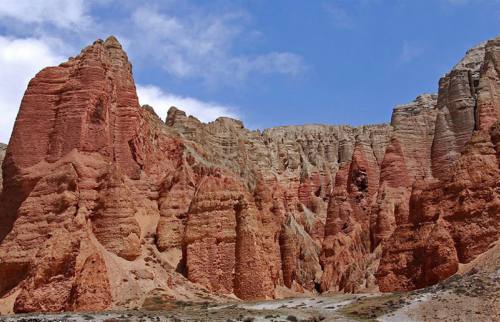 Mustang Gate Trekking