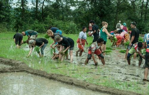 Volunteer in nepal